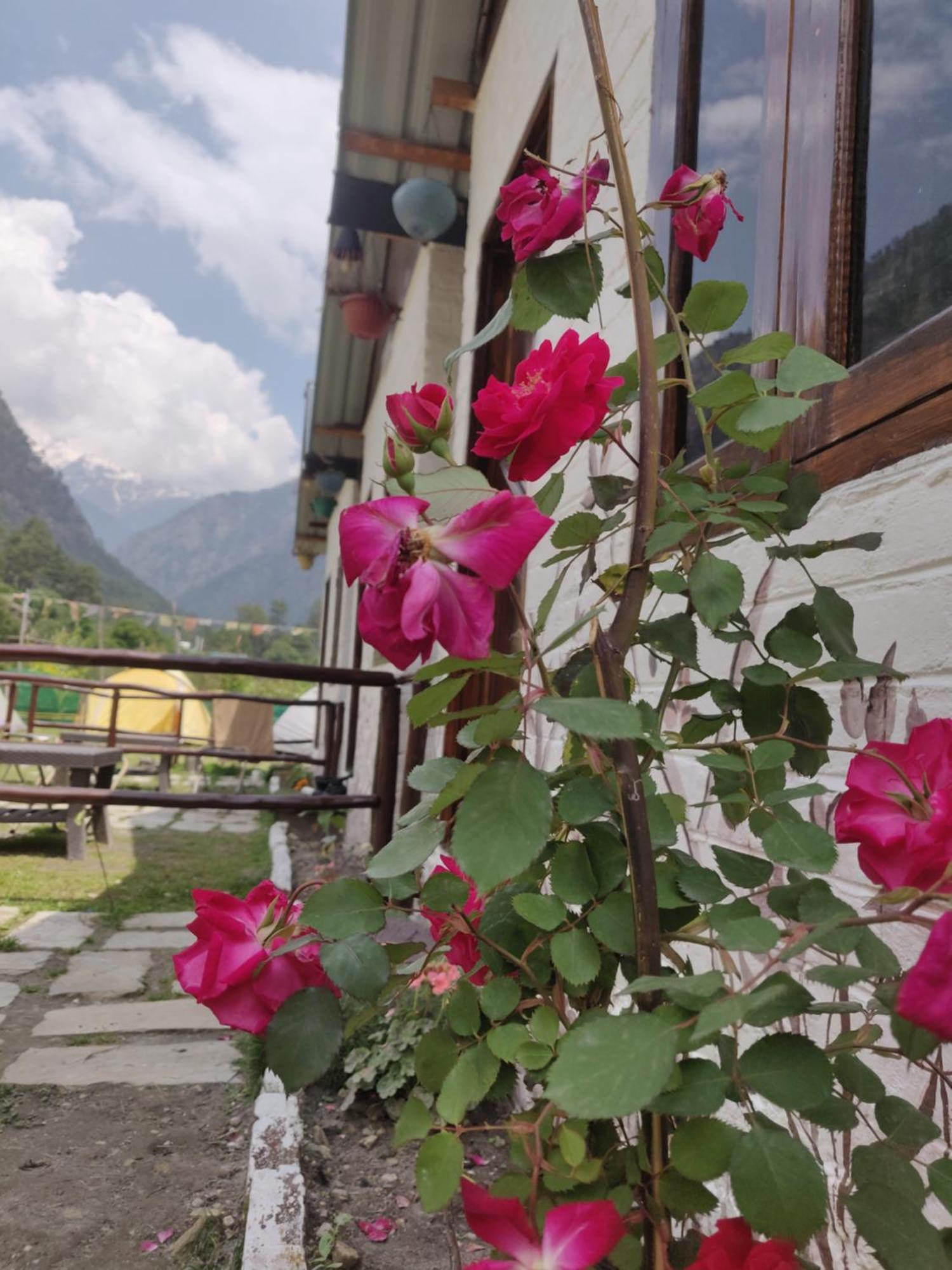 Himtrek Stays, Kasol Buitenkant foto